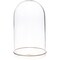 Plymor 4.5" x 8" Glass Display Dome Cloche (Gold Rim Glass Tray Base)